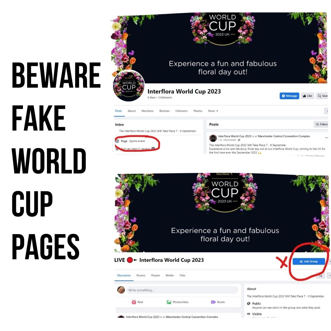 Watch out for Interflora World Cup Scams