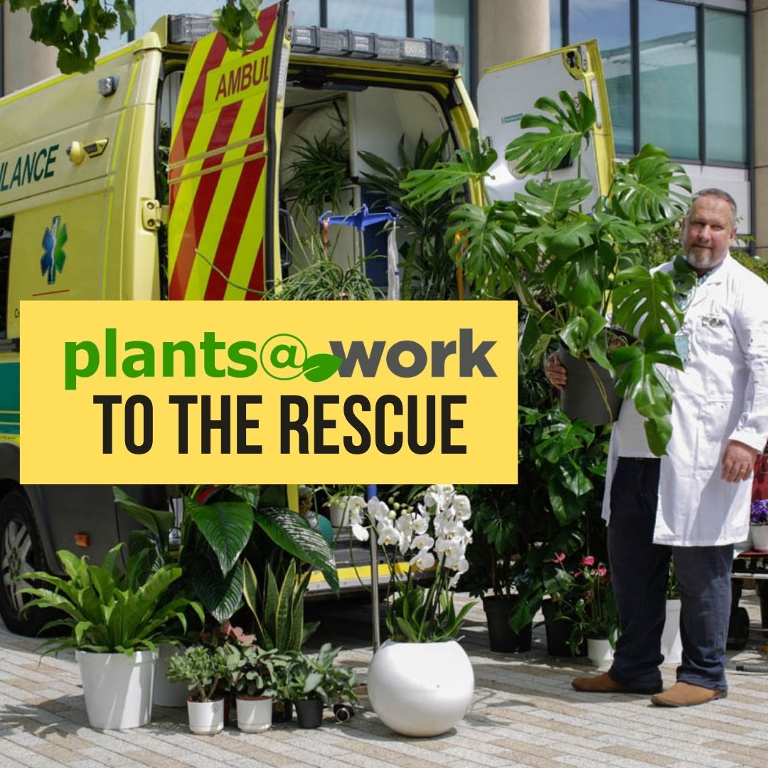 Plants to the Rescue in #plantsatworkweek2023