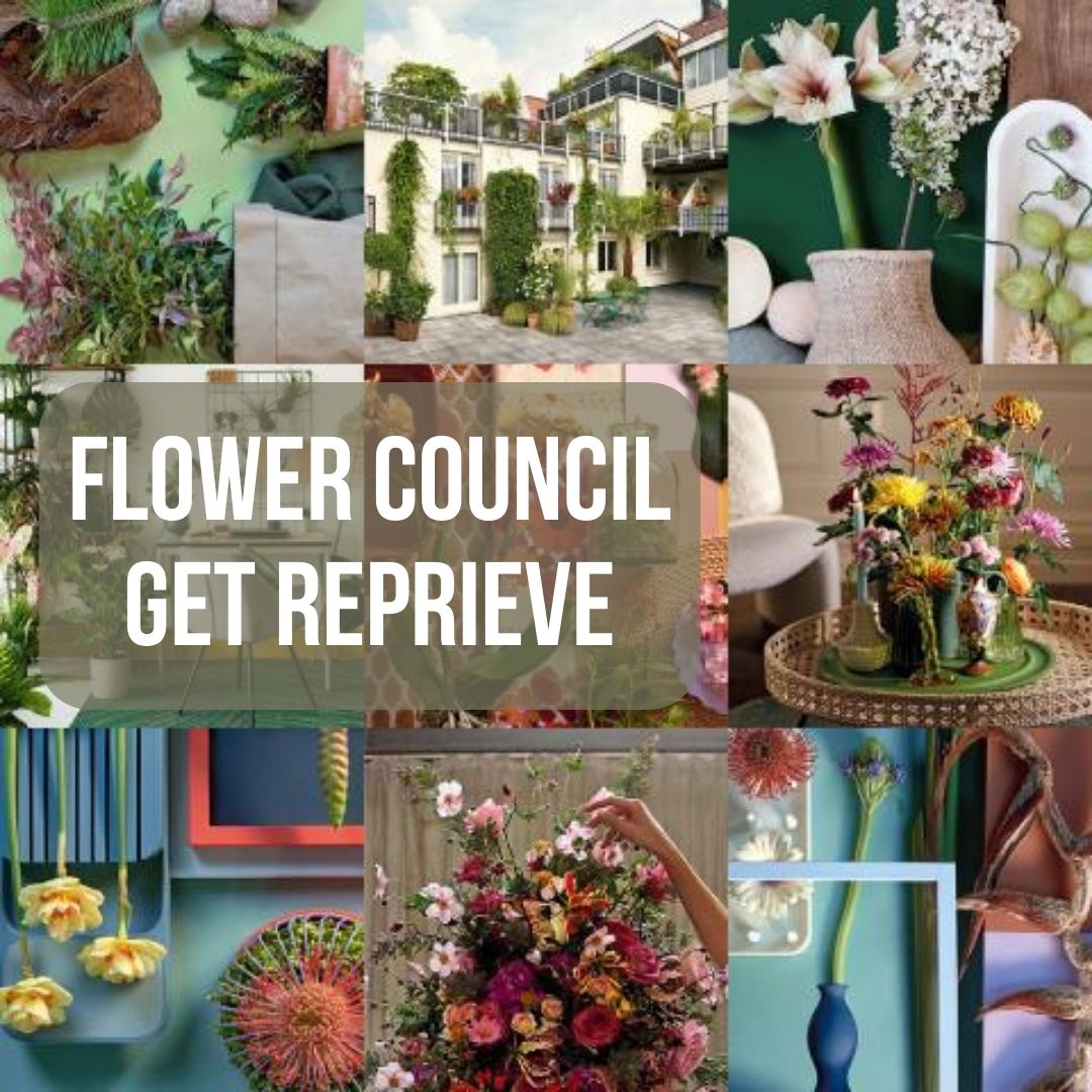 Flower Council of Holland reprieve ... work continues
