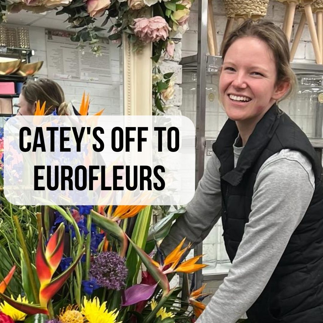 Catey’s flying the UK flag at Eurofleurs