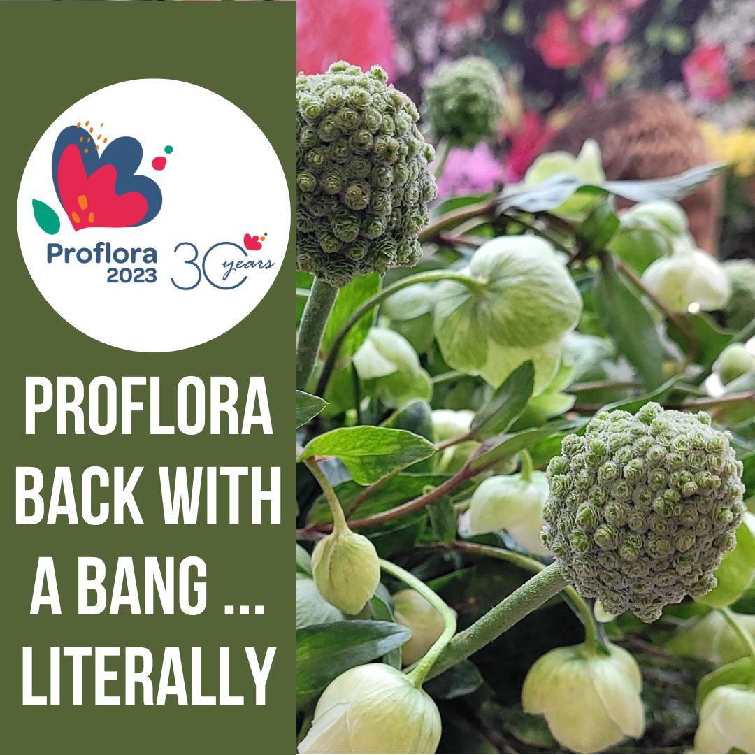 Proflora … full of confidence and surprises