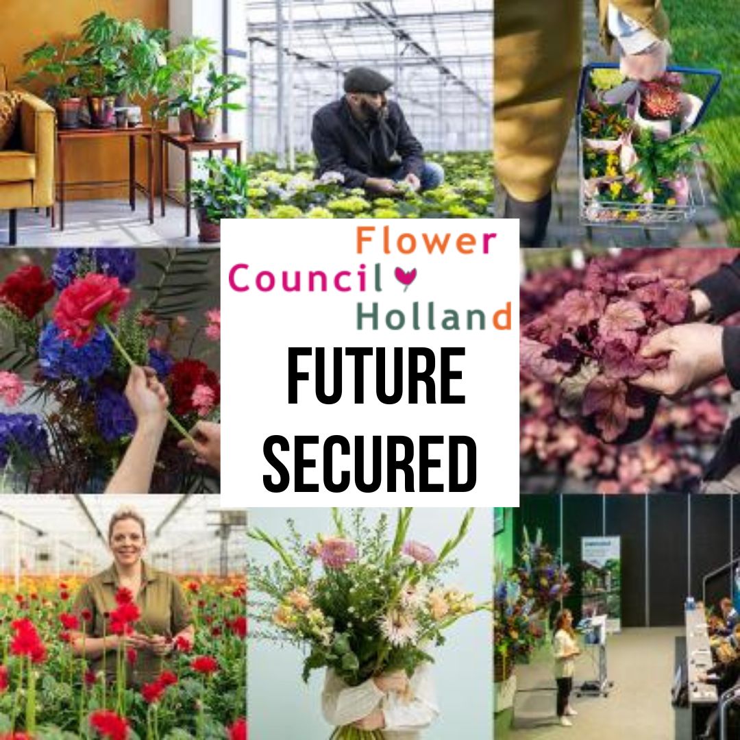 Positive vote to support Flower Council of Holland