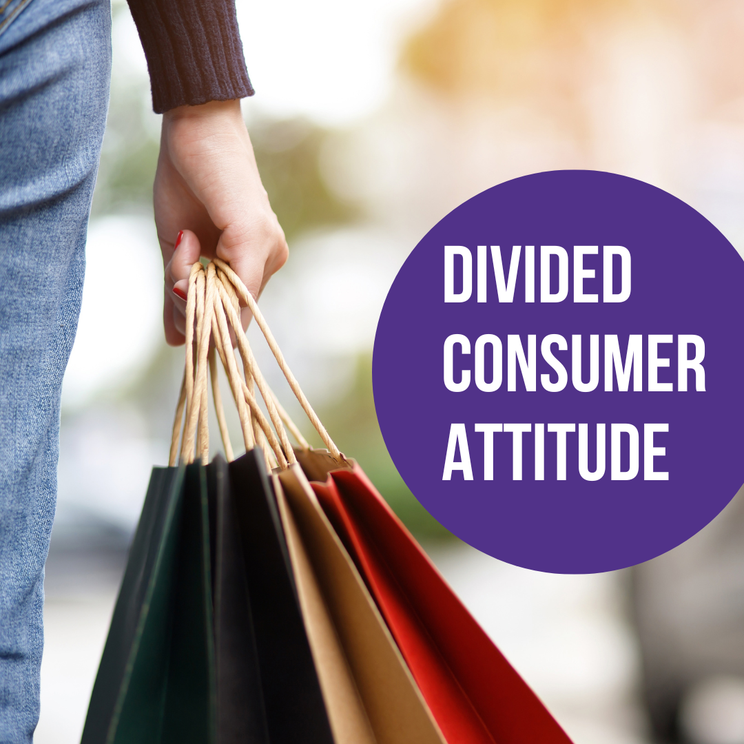 Consumer spending plans divided
