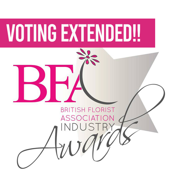 Voting extended for BFA Awards