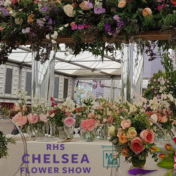 Chelsea Flower Show postponed