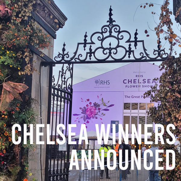 RHS Chelsea Winners announced