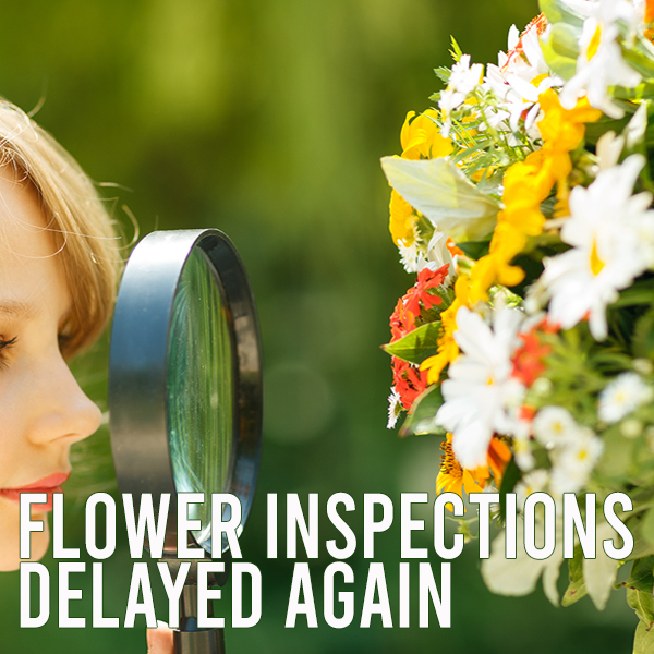 Flower Inspections & paperwork delayed