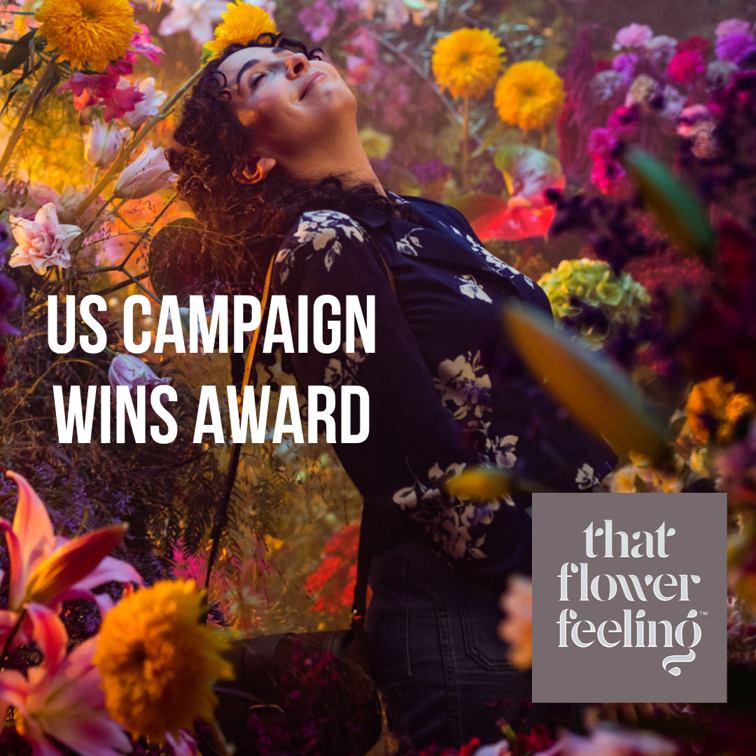 That Flower Feeling Wins Prestigious Award
