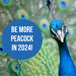 Stop hiding and show off your skills!