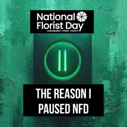 The reason I put NFD on pause