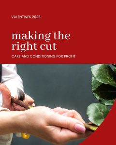 The first cut should be the deepest!