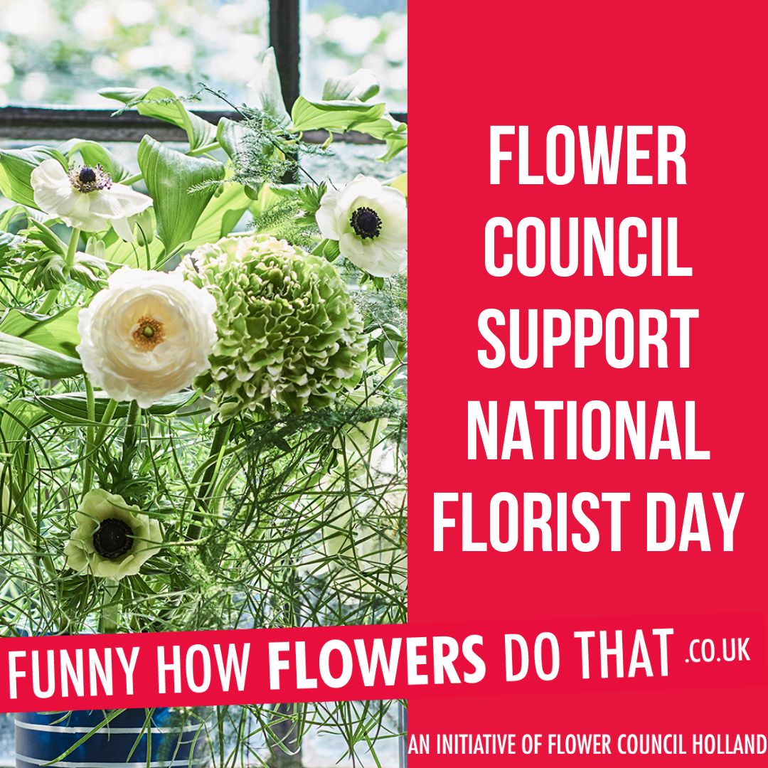 Flower Council of Holland join National Florist Day