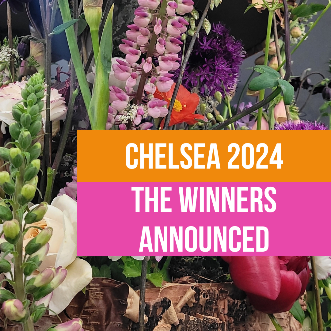 Chelsea 2024 - Medals Winners announced