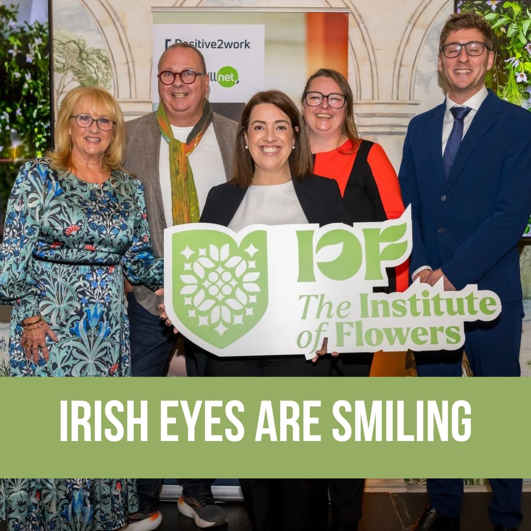 Institute of Flowers goes live in Ireland!