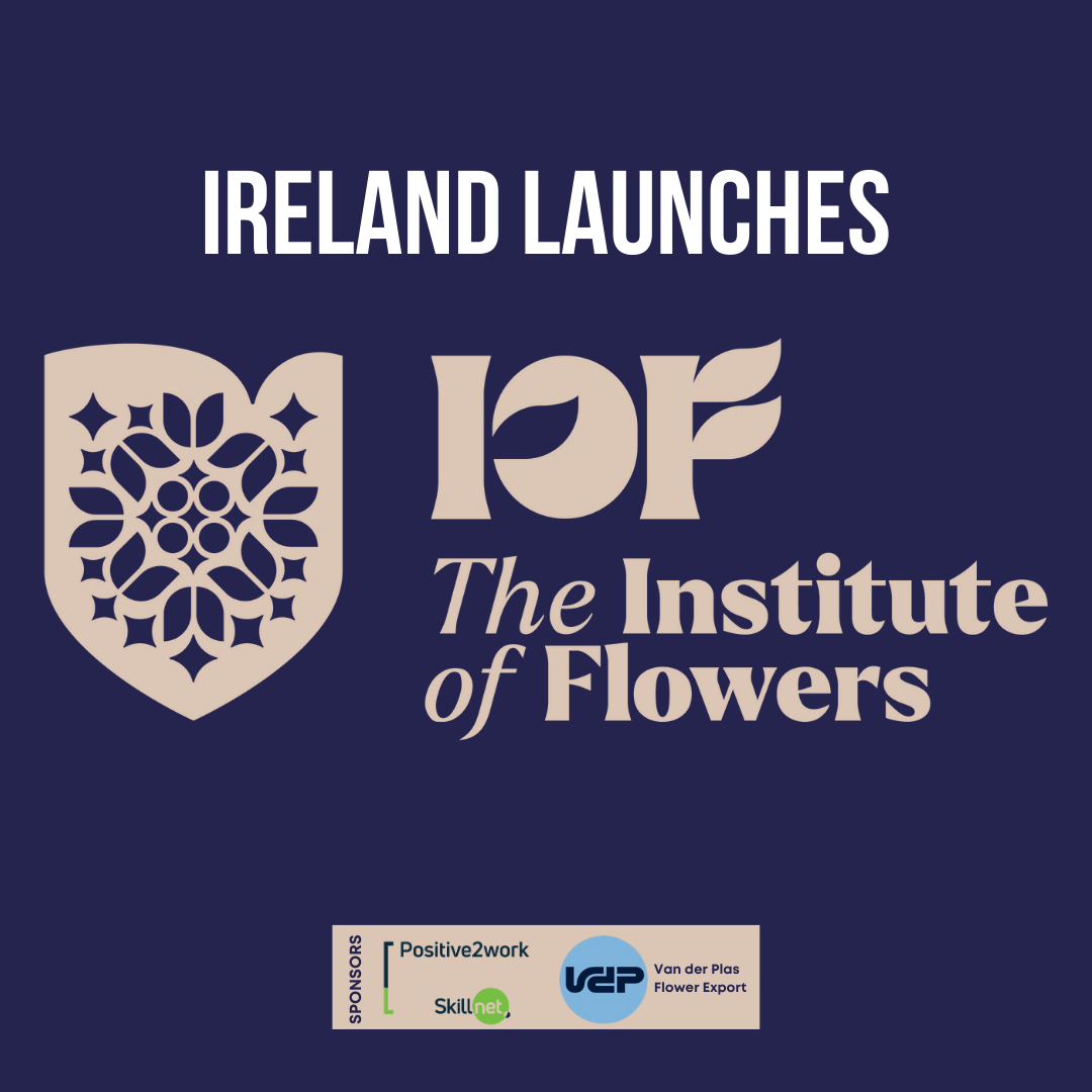 New voice for professional florists in Ireland