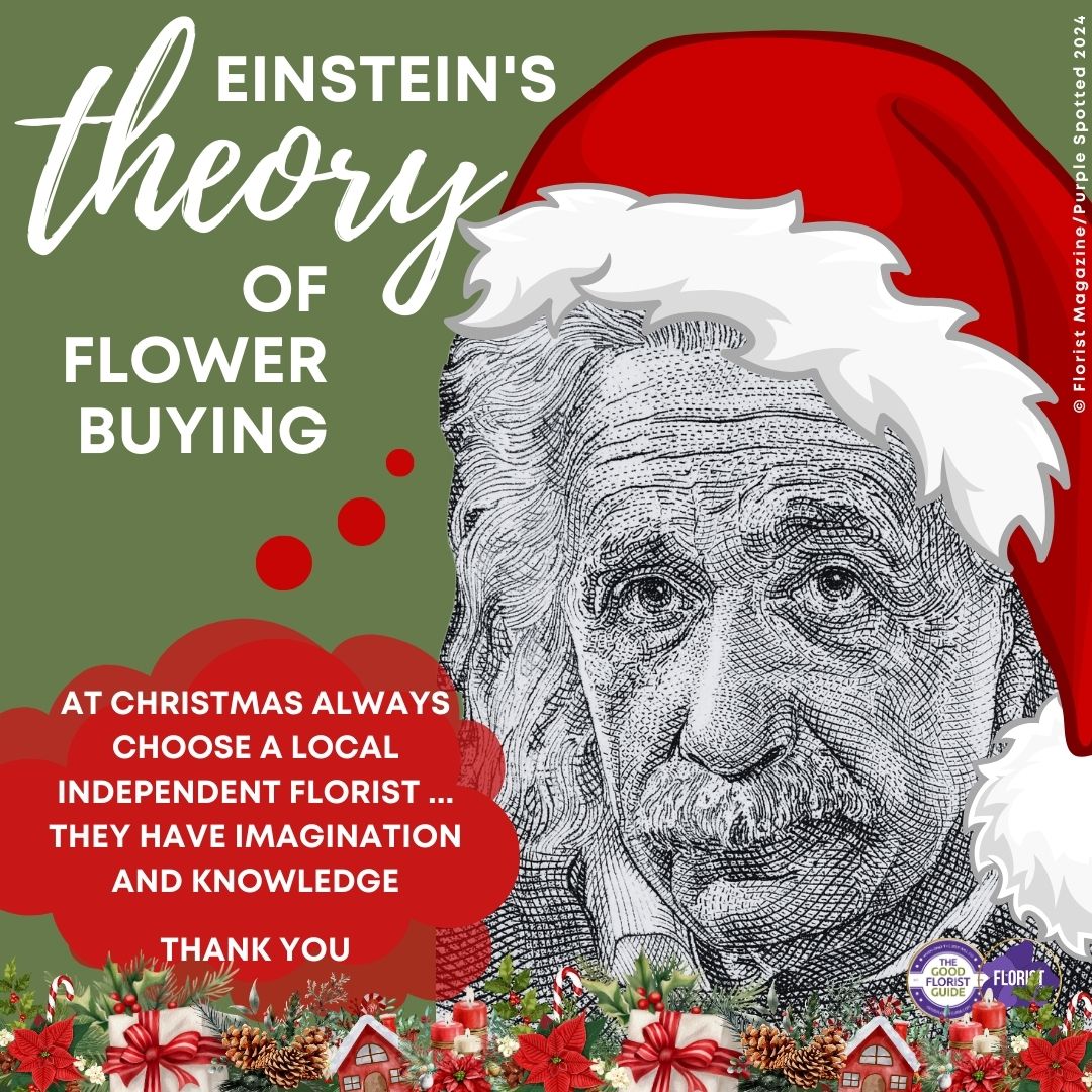 Einstein for Christmas