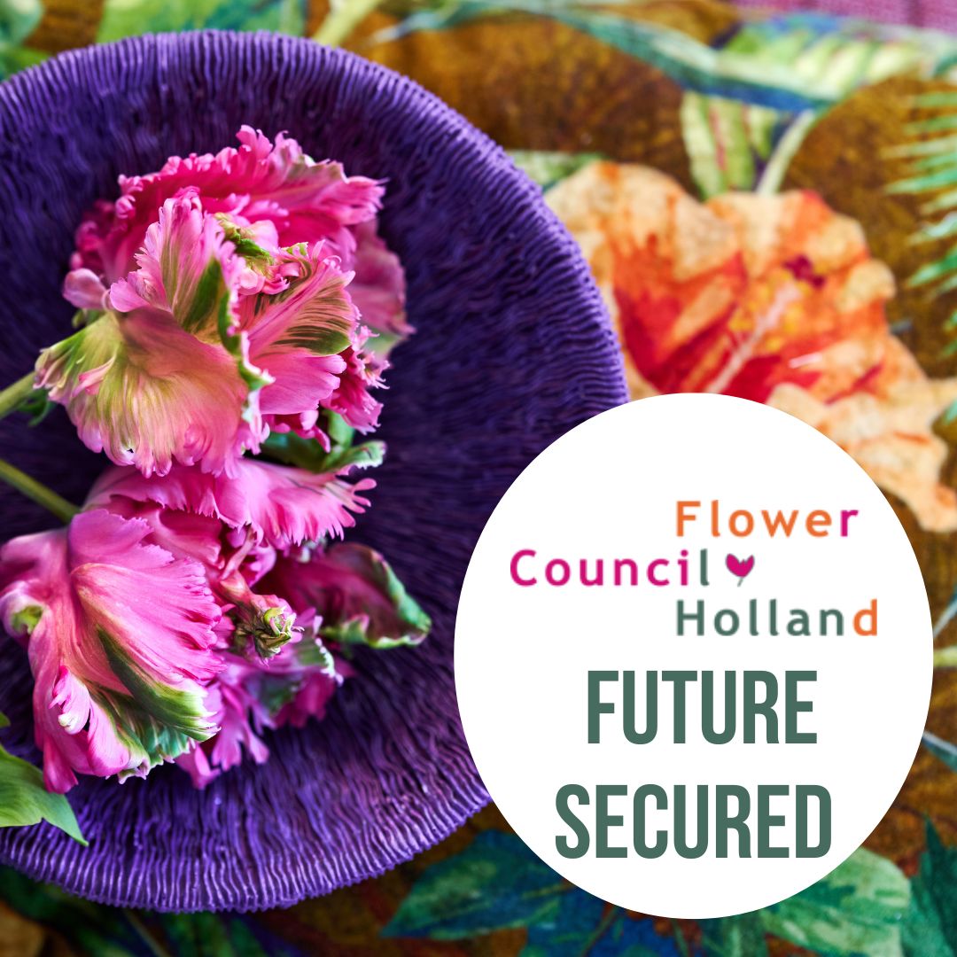 Funding secured for Flower Council of Holland