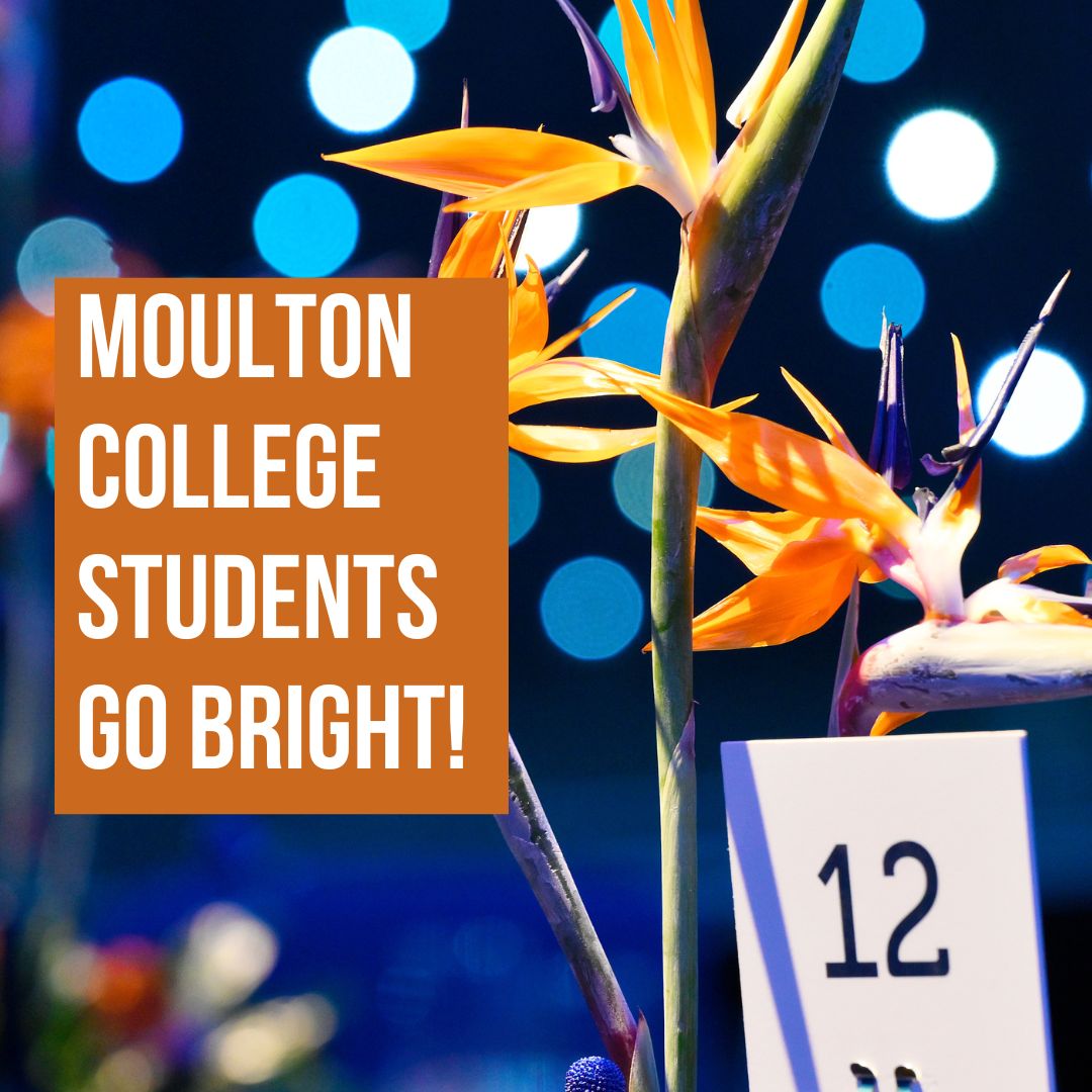 Moulton students do a bright display for educators