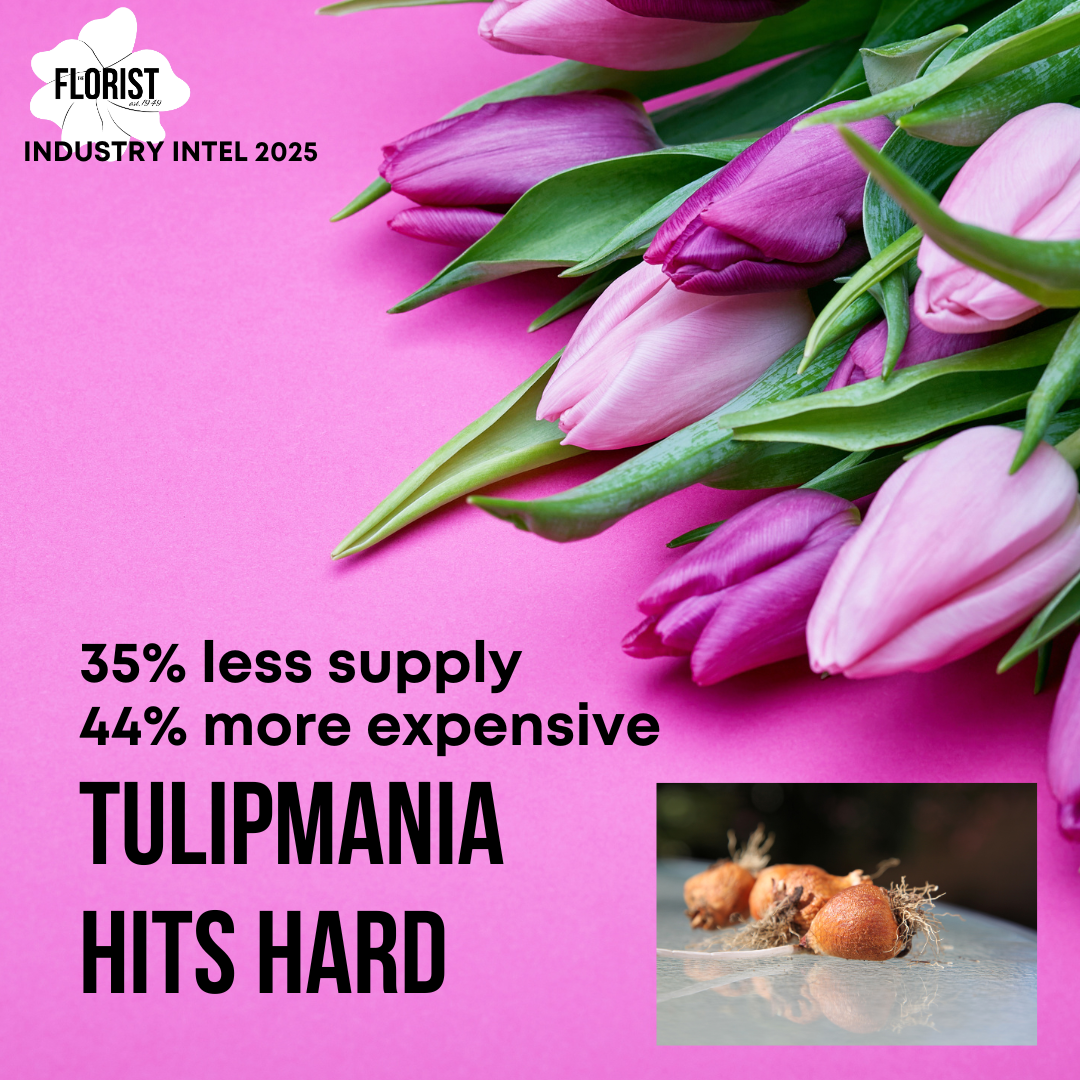 Tulipmania and drowning hits global supply chain!