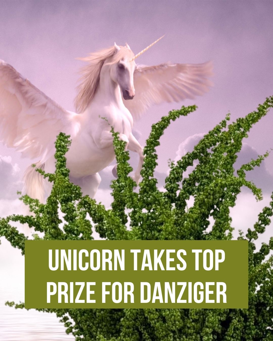 UNICORN™ wins Breeder Excellence Award at WFFSA