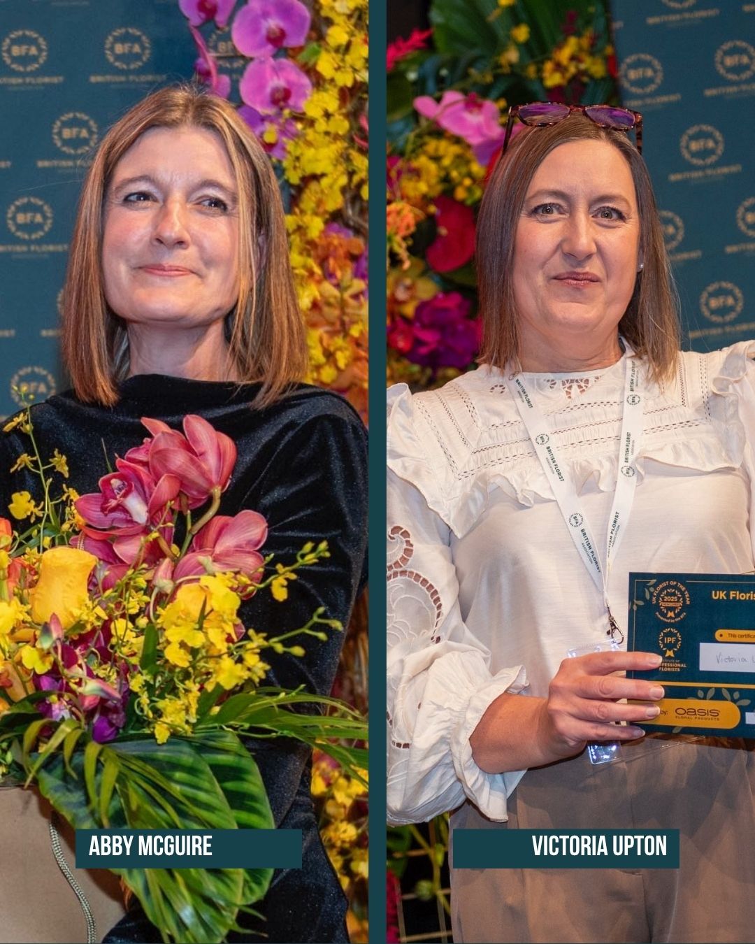 BFA winners 2