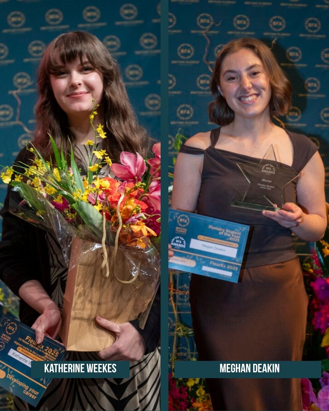 BFA winners 3