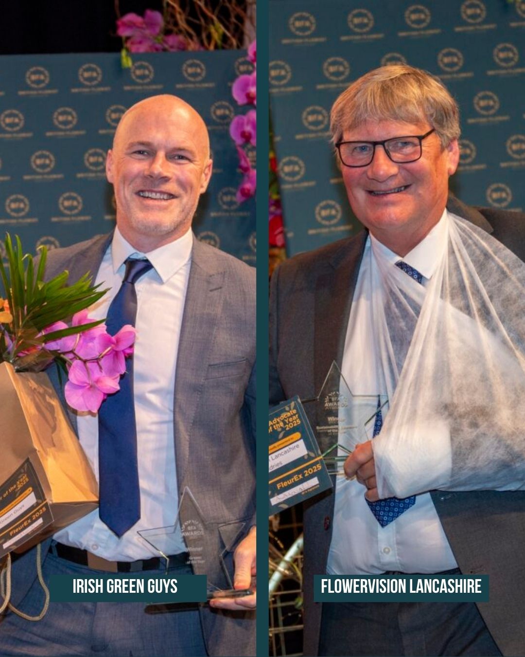 BFA winners 4