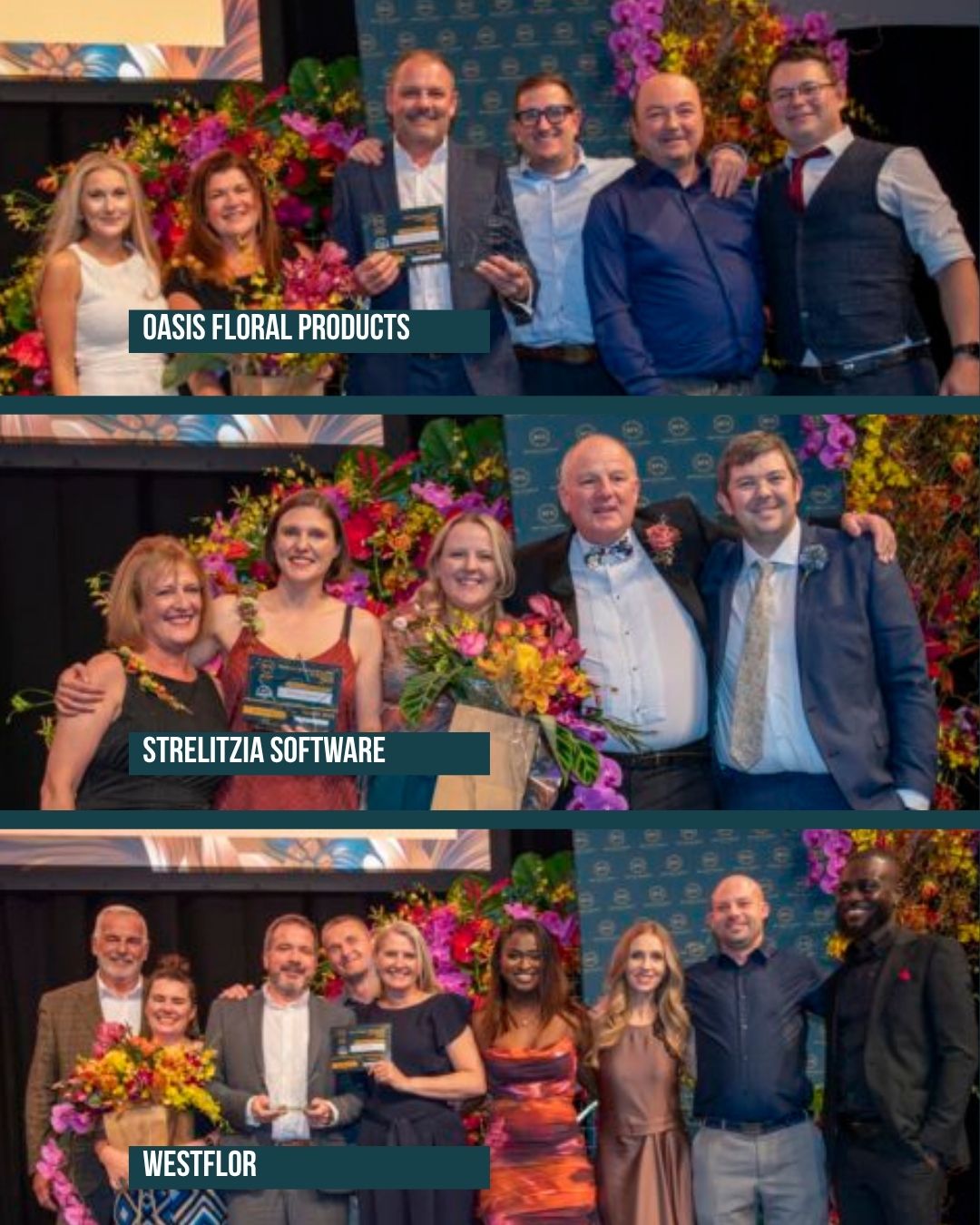 BFA winners 6