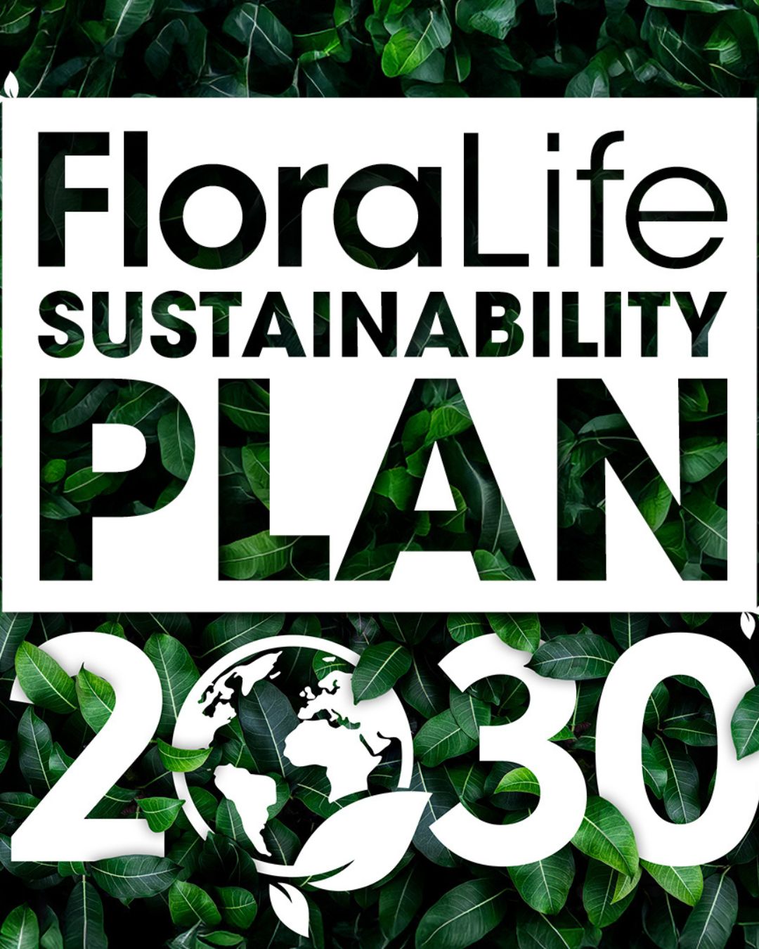 FloraLife unveils ambitious Sustainability 2030 Plan