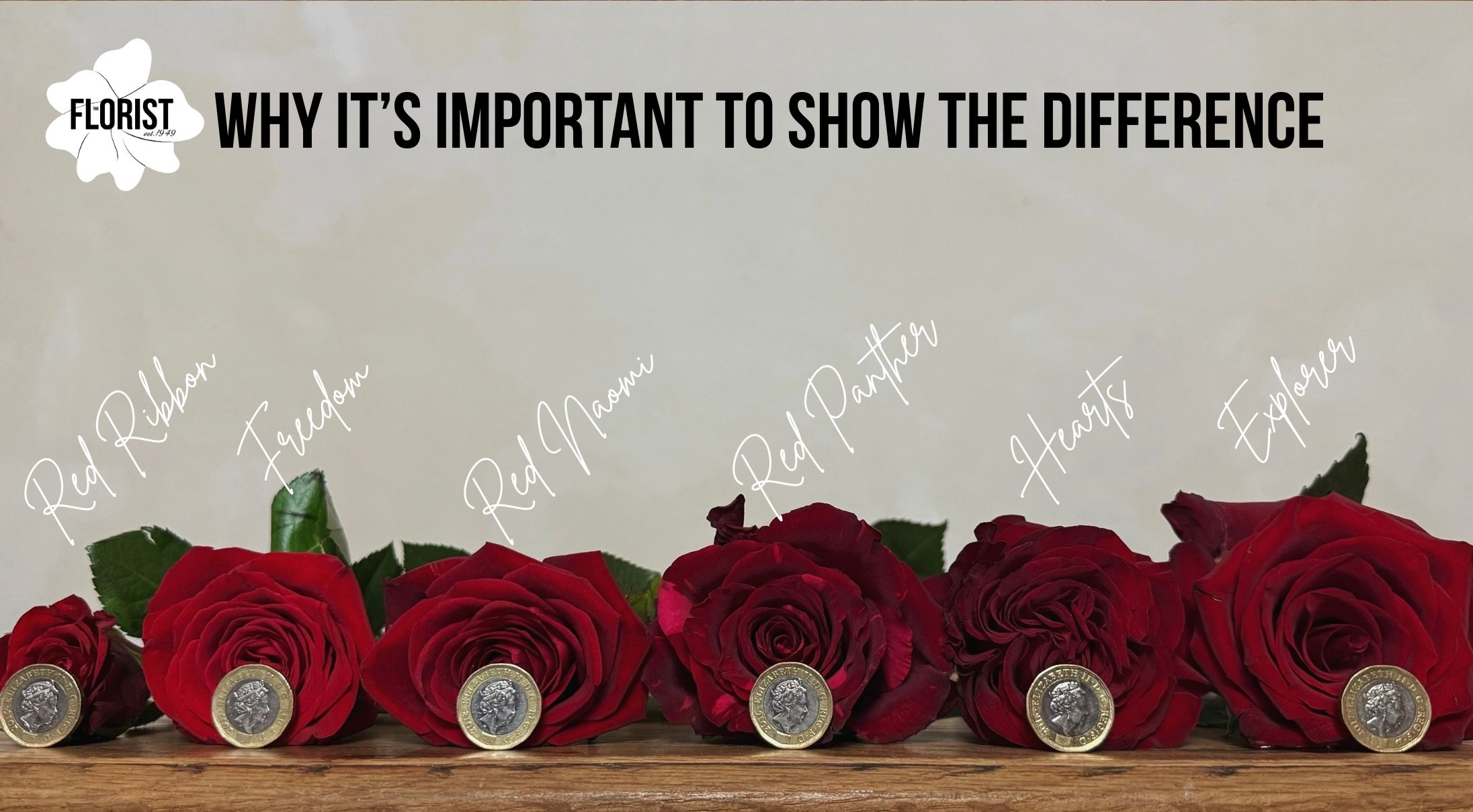 Show the difference coins and white text