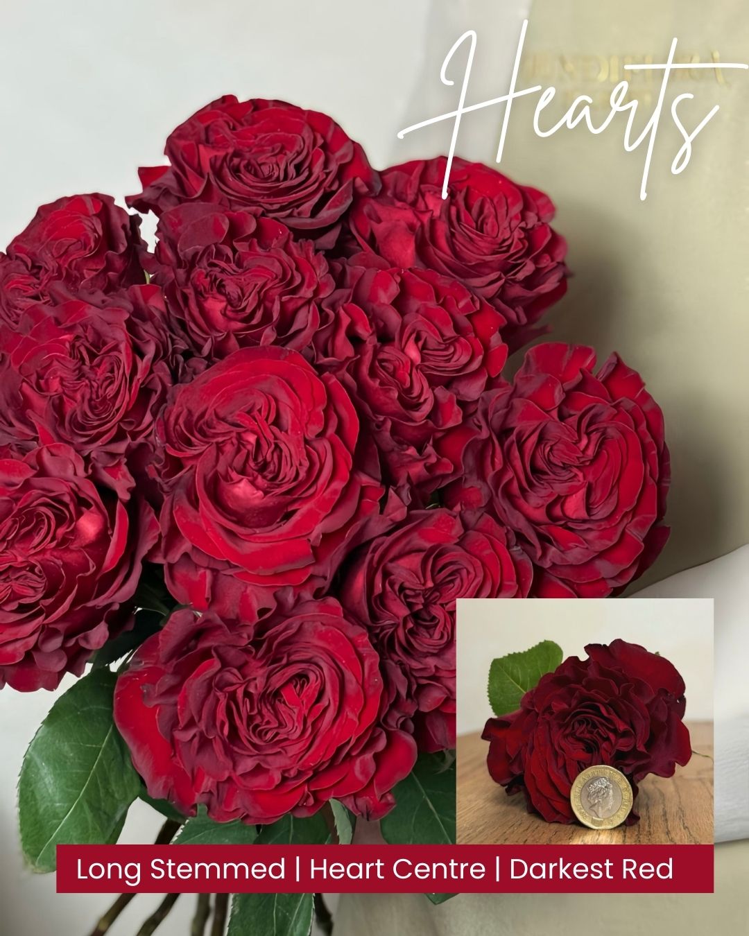 5 Hearts Head and bunch