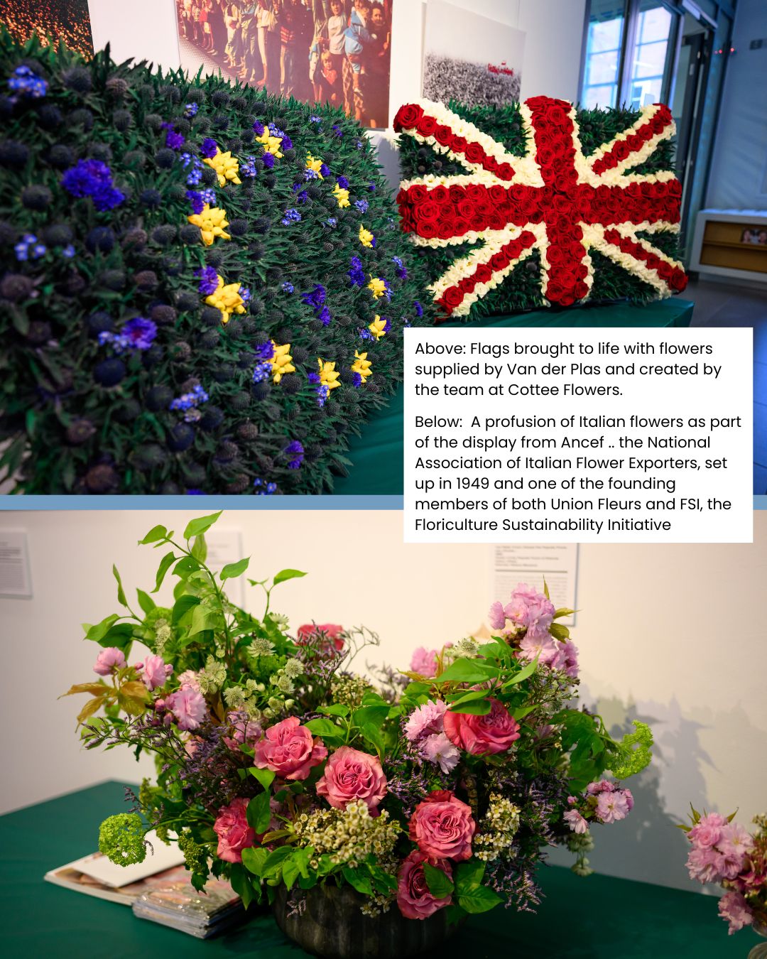 EU UK Flower Event BC 5