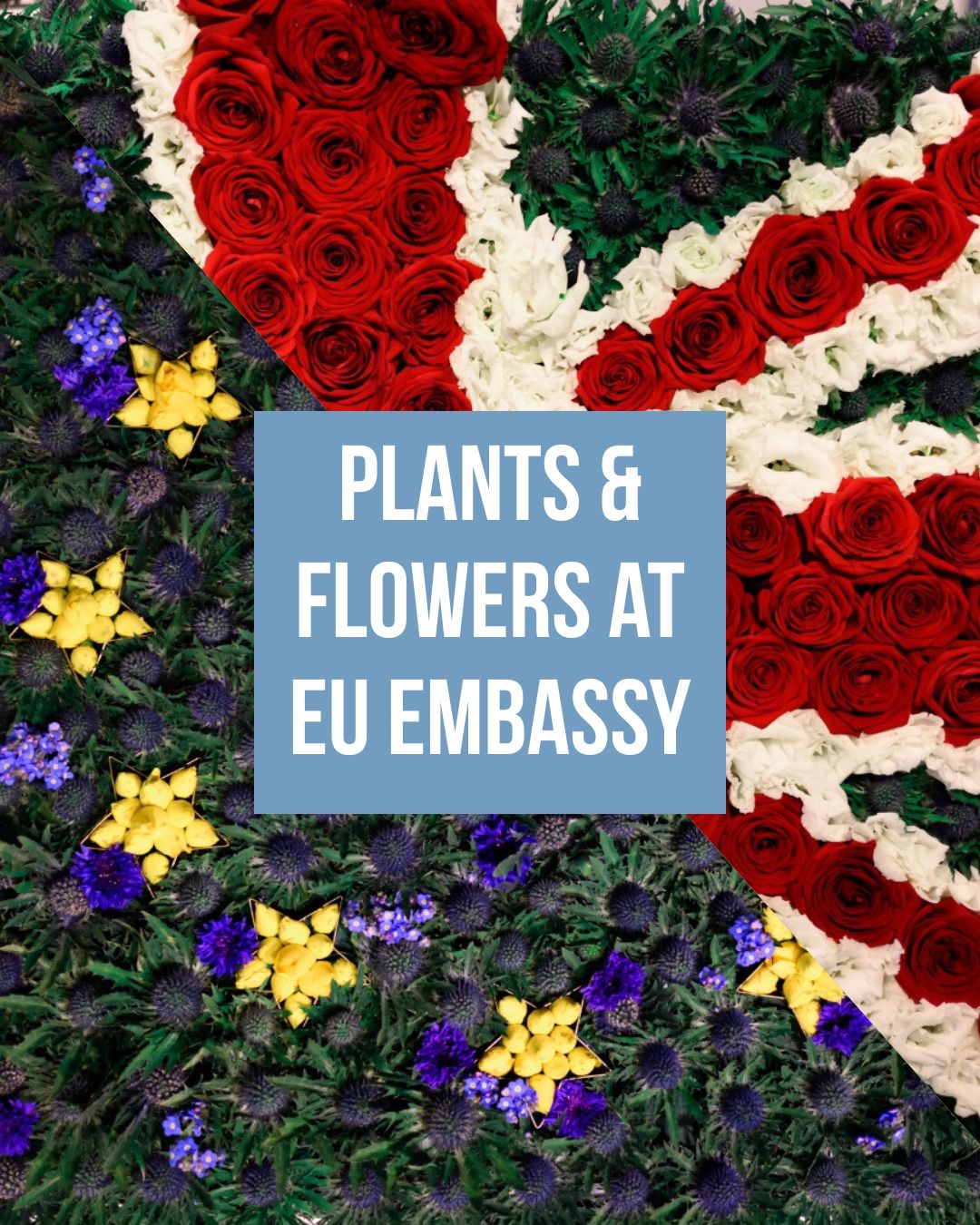First Plant & Flower Event held at EU Embassy