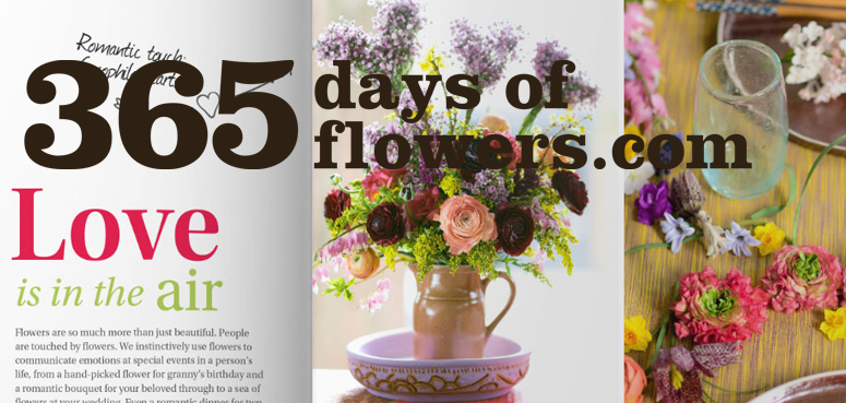 365 days of flowers magazine revamped